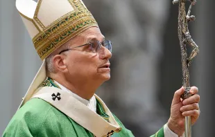 البابا لاوون يرأس قدّاسًا في بازيليك القديس بطرس-الفاتيكان في 26 أكتوبر/تشرين الأوّل الماضي مصدر الصورة: فاتيكان ميديا