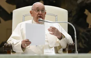 البابا فرنسيس يقدّم صباح اليوم تعليمًا في رذيلة الشراهة في قاعة بولس السادس-الفاتيكان مصدر الصورة: فاتيكان ميديا