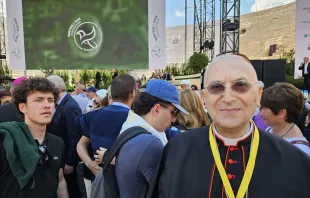 الكاردينال ماريو زيناري يشارك في مدرّج مدينة فيرونا الإيطاليّة بلقاء البابا فرنسيس يوم السبت الفائت بعنوان: «أرينا السلام: العدل والسلام يتعانقان». مصدر الصورة: آسي ستامبا