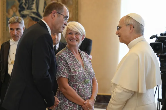 البابا لاوون الرابع عشر يلتقي وفدًا فرنسيًّا من فال دو مارن