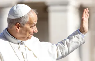 البابا لاوون صباح اليوم في ساحة القدّيس بطرس-الفاتيكان مصدر الصورة: دانييل إيبانيز/آسي مينا