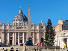 بدأت معالم الزينة تظهر في الفاتيكان مع اقتراب عيد الميلاد