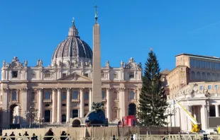 بدأت معالم الزينة تظهر في الفاتيكان مع اقتراب عيد الميلاد مصدر الصورة: إلياس الترك/آسي مينا