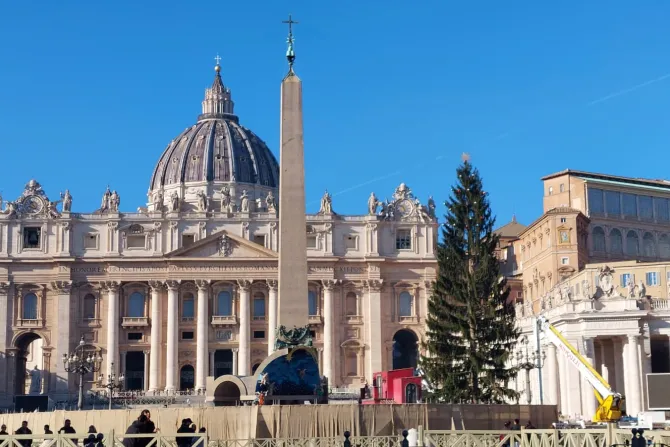 بدأت معالم الزينة تظهر في الفاتيكان مع اقتراب عيد الميلاد