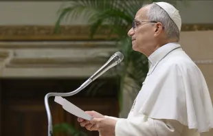 البابا لاوون يلتقي أجهزة الاستخبارات الإيطاليّة في الفاتيكان مصدر الصورة: فاتيكان ميديا