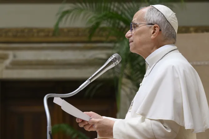 البابا لاوون يلتقي أجهزة الاستخبارات الإيطاليّة في الفاتيكان