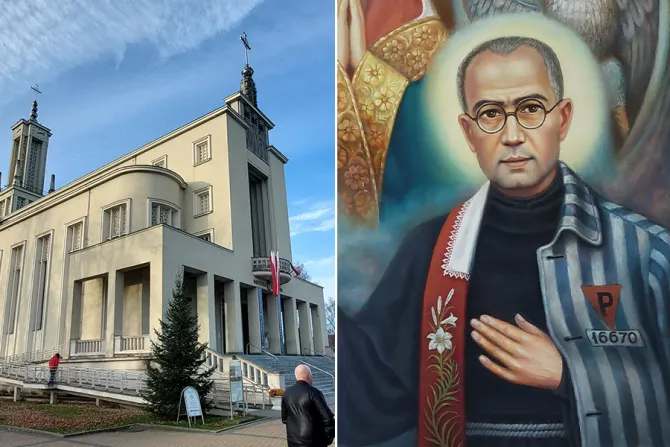 بازيليك العذراء البريئة من كلّ دنس في مدينة النقيّة-نييبوكالانوف البولنديّة ولوحة للقدّيس مكسيميليان كولبي