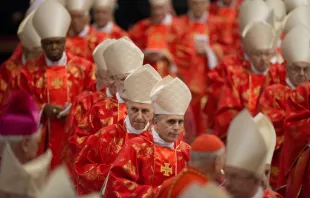 مجمع الكرادلة يحتفل بالذبيحة الإلهيّة في مارس/آذار 2013 قبل الدخول إلى كنيسة سيستينا الفاتيكانيّة من أجل الكونكلاف الذي أدّى إلى انتخاب البابا فرنسيس مصدر الصورة: وكالة الأنباء الكاثوليكية