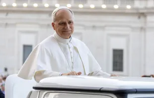 البابا لاوون الرابع عشر يترأّس عشيّة صلاة بمناسبة عيد العنصرة في ساحة القدّيس بطرس-الفاتيكان في شهر يونيو/حزيران الماضي مصدر الصورة: دانييل إيبانيز/آسي مينا