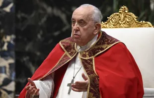 البابا فرنسيس مصدر الصورة: فاتيكان ميديا