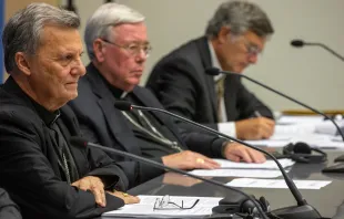 مؤتمر صحافيّ بعد ظهر اليوم في دار الصحافة الفاتيكانيّة يُقدّم الدورة الثانية من سينودس الأساقفة «من أجل كنيسة سينودسيّة: شركة ومشاركة ورسالة» مصدر الصورة: دانييل إيبانيز/آسي مينا