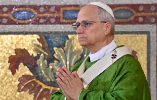 البابا لاوون الرابع عشر يترأّس الذبيحة الإلهيّة في مزار القدّيسة مريم ديلّا روتوندا-ألبانو الإيطاليّة مصدر الصورة: فاتيكان ميديا