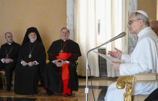 البابا لاوون الرابع عشر يلتقي المشاركين في الحجّ المسكونيّ الأرثوذكسيّ-الكاثوليكيّ في كاستل غاندولفو الإيطاليّة مصدر الصورة: فاتيكان ميديا