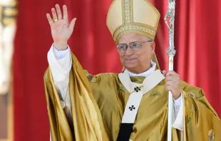 البابا لاوون الرابع عشر يحتفل بالذبيحة الإلهيّة في ساحة القدّيس بطرس الفاتيكانيّة لإعلان قداسة كارلو أكوتيس وبيير جورجيو فراسّاتي (7 سبتمبر/أيلول 2025) مصدر الصورة: فاتيكان ميديا