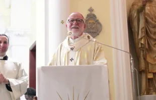 رئيس أساقفة إزمير التركيّة للاتين المونسنيور مارتن كميتيك مصدر الصورة: المونسنيور مارتن كميتيك