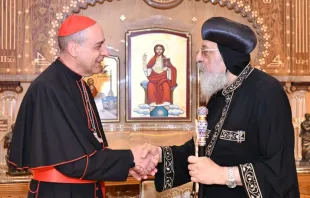 تواضروس الثاني يلتقي فرنانديز في القاهرة، مصر مصدر الصورة:copticorthodox.church