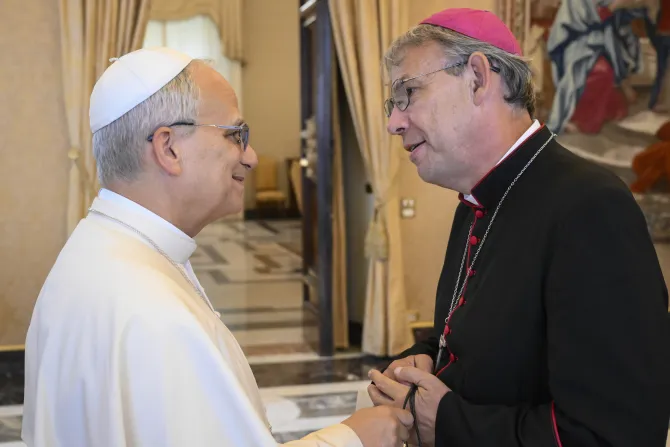 البابا لاوون الرابع عشر يلتقي وفدًا فرنسيًّا من فال دو مارن