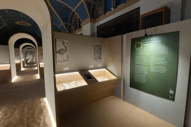 معرض «كُنْ مسبّحًا» في متحف الكنز-أسّيزي