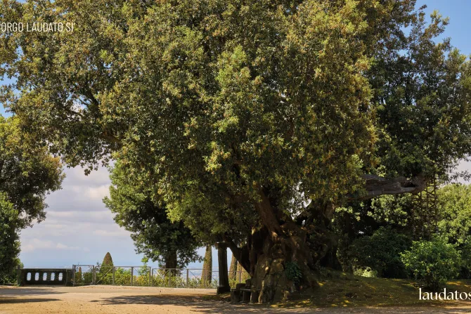 «قرية كُنْ مسبّحًا» في كاستل غاندولفو الإيطاليّة