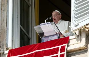 البابا فرنسيس يتلو صلاة التبشير الملائكيّ مع المؤمنين المحتشدين في ساحة القدّيس بطرس-الفاتيكان مصدر الصورة: فاتيكان ميديا