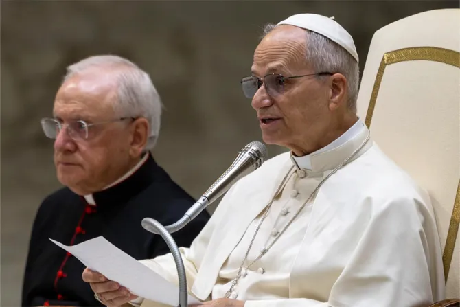 البابا لاوون الرابع عشر يقدّم صباح اليوم تعليمًا عن الدستور العقائديّ «كلمة الله» في قاعة بولس السادس الفاتيكانيّة