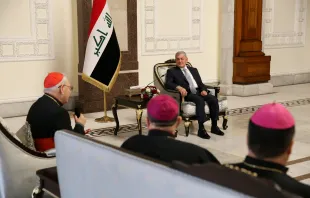 رئيس الجمهوريّة العراقيّة عبد اللطيف جمال رشيد يستقبل البطريرك ساكو في قصر بغداد في 2 فبراير/شباط 2023 Provided by: presidency.iq