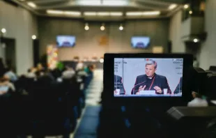 الكاردينال ماريو غريش في المؤتمر الصحفي اليوم Provided by: Gianluca Teseo - EWTN