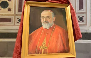 صورة بطريرك الكنيسة الأرمينيّة الكاردينال غريغوريوس بطرس الخامس عشر أغاجانيان Provided by: Armenian Catholic Church