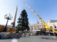 عمّال يضعون شجرة عيد الميلاد في ساحة القدّيس بطرس-الفاتيكان عام 2017