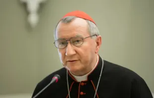 الكاردينال بييترو بارولين Provided by: Shutterstock/CNA