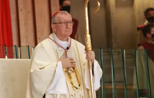 الكاردينال بييترو بارولين مصدر الصورة: إي دبليو تي إن