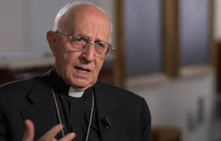 الكاردينال فرناندو فيلوني في مقابلة مع «إي دبليو تي إن» مصدر الصورة: «إي دبليو تي إن»