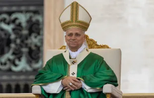 البابا لاوون الرابع عشر يترأّس قدّاس يوبيلَي عالم الرسالات والمهاجرين في ساحة القدّيس بطرس الفاتيكانيّة مصدر الصورة: دانييل إيبانيز/آسي مينا