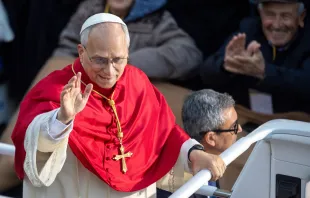 البابا لاوون الرابع عشر يحيّي المؤمنين في ساحة إسبانيا، بعد ظهر الاثنين 8 ديسمبر/كانون الأوّل لمناسبة عيد الحبل بلا دنس مصدر الصورة: دانييل إيبانيز/آسي مينا