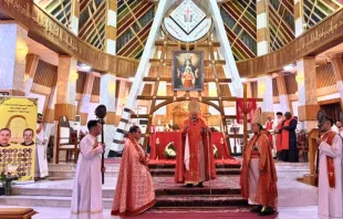 الاحتفال بالقدّاس الإلهيّ في كاتدرائيّة سيّدة النجاة في الذكرى الخامسة عشرة لشهدائها مصدر الصورة: صفحة بطريركيّة السريان الكاثوليك في فيسبوك