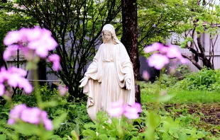 تذكار ميلاد العذراء مريم مصدر الصورة: Briville/Shutterstock