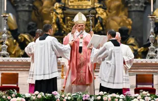 البابا لاوون الرابع عشر يترأّس قدّاس يوبيل السجناء في بازيليك القدّيس بطرس الفاتيكانيّة مصدر الصورة: فاتيكان ميديا