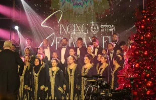 الريسيتال الميلاديّ في مدرسة القلبَين الأقدسَين في كفردبيان مصدر الصورة: رومي الهبر