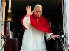 البابا لاوون الرابع عشر