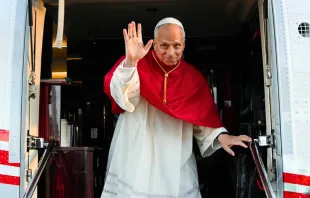 البابا لاوون الرابع عشر مصدر الصورة: فاتيكان ميديا