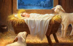 زمن الميلاد… دعوةٌ إلى التواضع على مثال يسوع مصدر الصورة: Signs of the Times