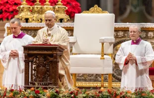 البابا لاوون الرابع عشر مصدر الصورة: دانييل إيبانيز/آسي مينا