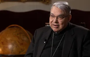 الكاردينال مارتشيلو سيميرارو في مقابلة مع «إي دبليو تي إن» مصدر الصورة: «إي دبليو تي إن»