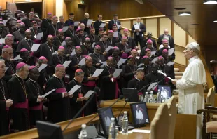 البابا لاوون الرابع عشر يلتقي الأساقفة الكاثوليك الجدد المرسومين في العام الأخير في قاعة بولس السادس الفاتيكانيّة مصدر الصورة: فاتيكان ميديا