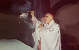 بطريرك الكنيسة الأرمينيّة الكاردينال غريغوريوس بطرس الخامس عشر أغاجانيان Provided by: Armenian Catholic Church