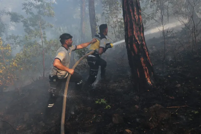 من حرائق ريف اللاذقية-سوريا