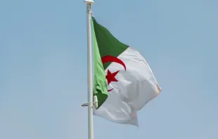 علم الجزائر Provided by: Aboodi Vesakaran via Unsplash