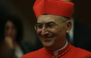 السفير البابوي في سوريا الكاردينال ماريو زيناري Provided by: Vatican Media