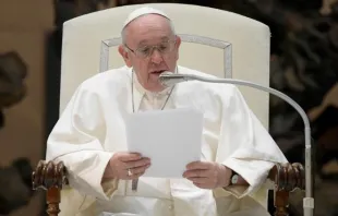 البابا فرنسيس في المقابلة العامة اليوم Provided by: Vatican Media