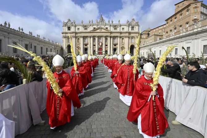 ساحة القدّيس بطرس الفاتيكانيّة تغصّ بحشود المؤمنين المشاركين في قدّاس أحد الشعانين